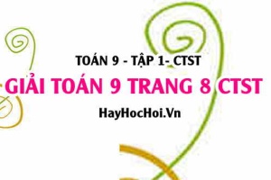 Giải Toán 9 trang 8 tập 1 Chân trời sáng tạo SGK